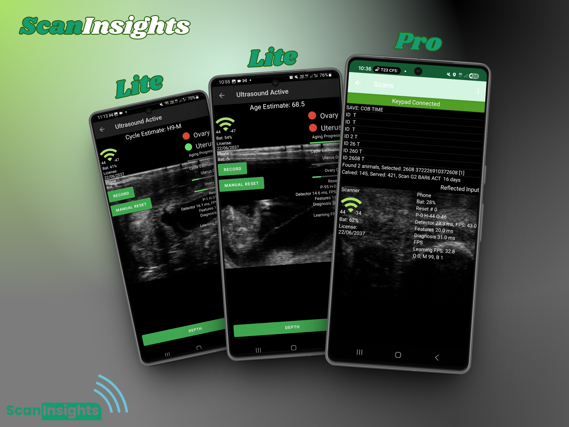 ScanInsights Lite and Pro AI App - Real-time cattle ultrasound scanning on mobile