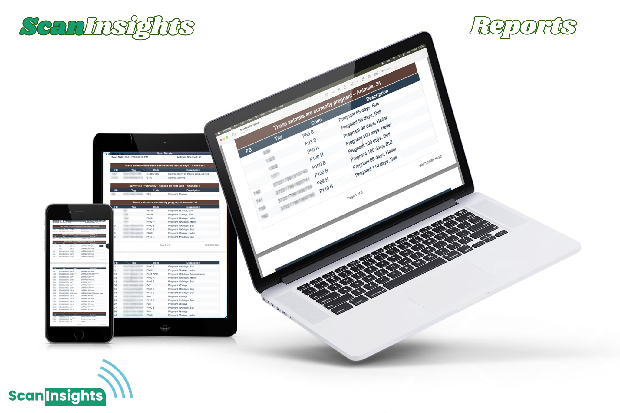 ScanInsights Professional Reports on smartphone